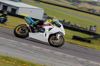 PJM-Photography;anglesey-no-limits-trackday;anglesey-photographs;anglesey-trackday-photographs;enduro-digital-images;event-digital-images;eventdigitalimages;no-limits-trackdays;peter-wileman-photography;racing-digital-images;trac-mon;trackday-digital-images;trackday-photos;ty-croes